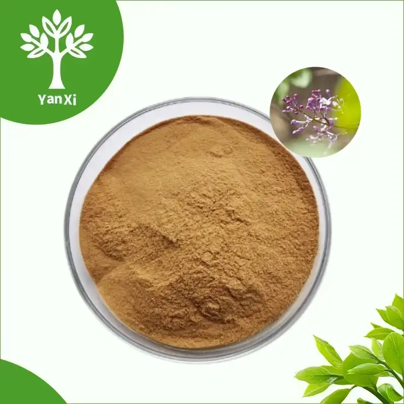 Clove Extract Powder Clove Extract Powder